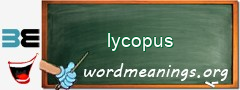 WordMeaning blackboard for lycopus